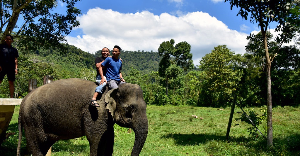 Materi Keragaman Flora-Fauna Indonesia dan Contoh Soal