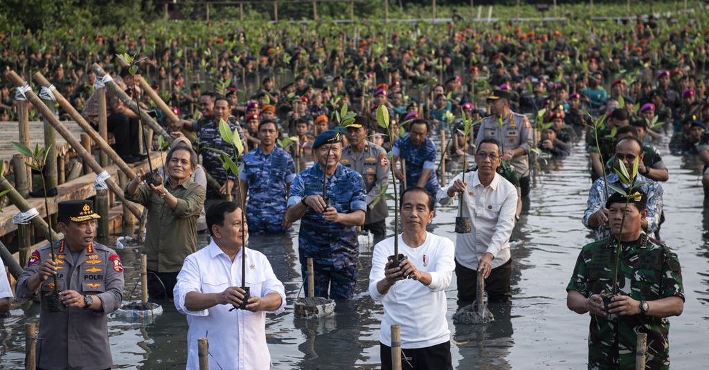 Jokowi Minta Warga Rajin Rehabilitasi Hutan, Terutama di Jakarta
