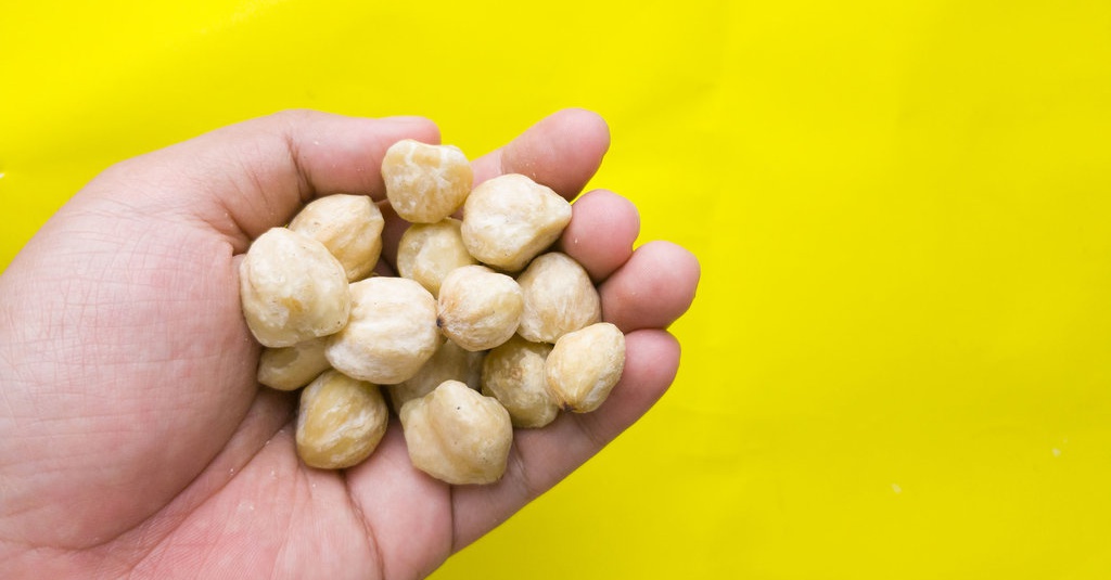 Apakah Hazelnut Itu Kemiri Apa Perbedaan Dan Manfaatnya