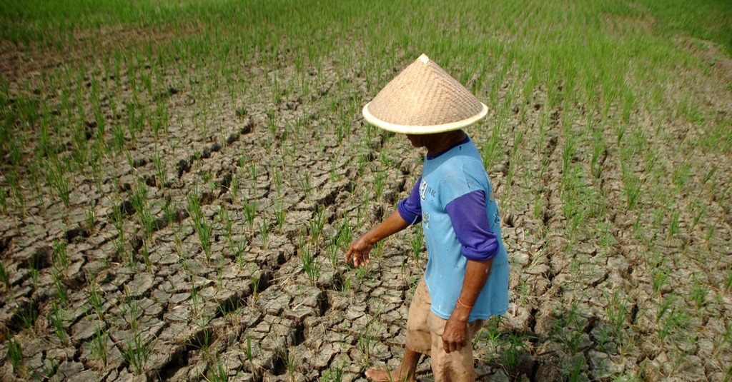 9 Kabupaten Di Jawa Tengah Rawan Kekeringan Terdampak El Nino 6568