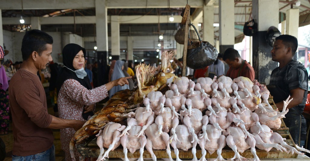 Harga Ayam Tembus Rp50.000, Bapanas: Wajar karena Ayam Filet