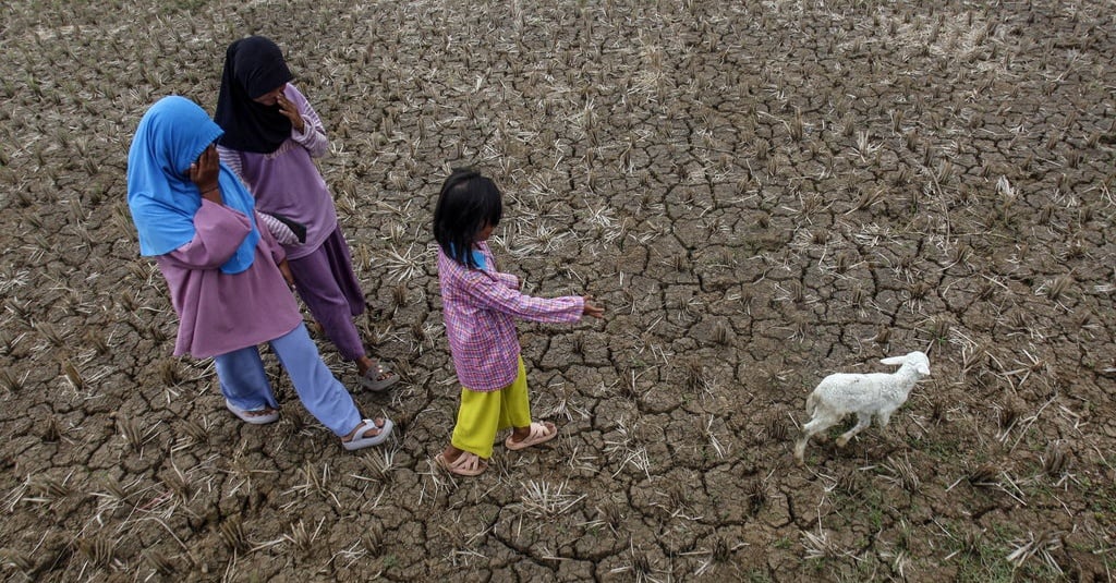 BMKG: 63 Persen Wilayah RI Mulai Terdampak El Nino