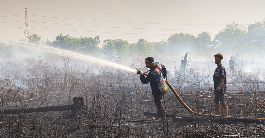 Imbas Karhutla Klhk Segel Area Konsesi Perusahaan Di Kalbar