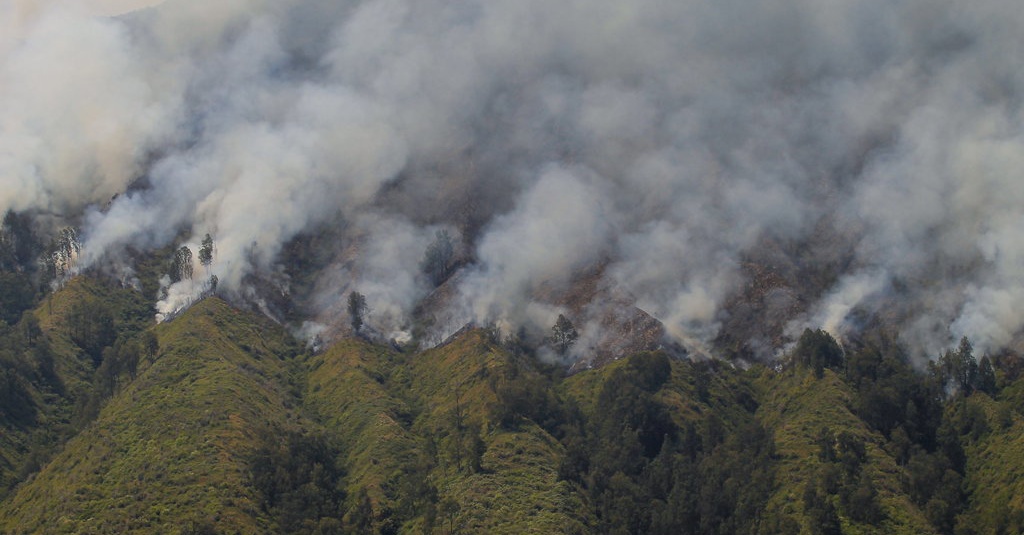Menparekraf Sandiaga Uno Geram Bukit Teletubbies Terbakar