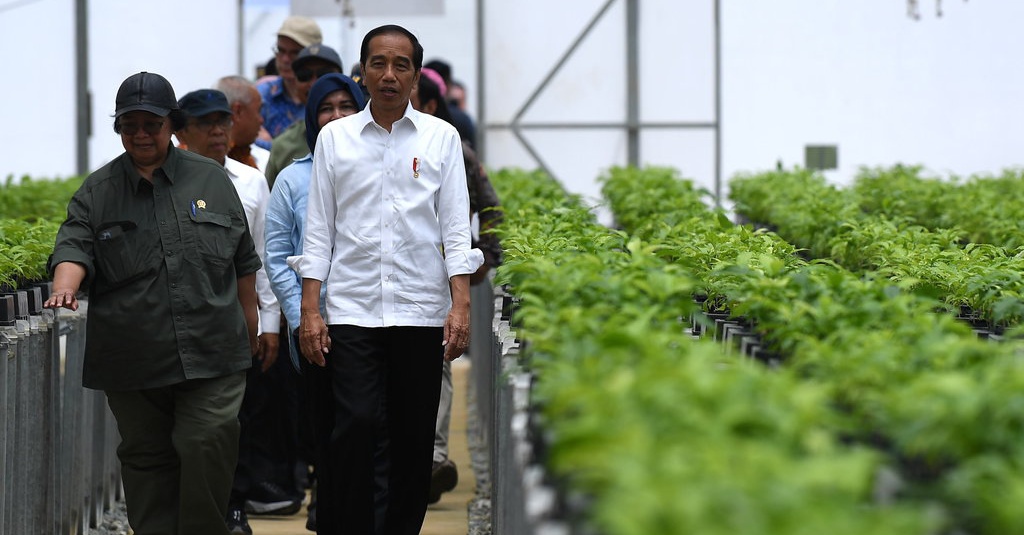 FIFA Kucurkan Rp85,6 M untuk Pembangunan Training Center di IKN