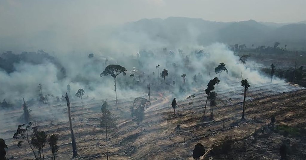 Tim Satgas Karhutla Berhasil Padamkan Kebakaran Lahan di Jambi