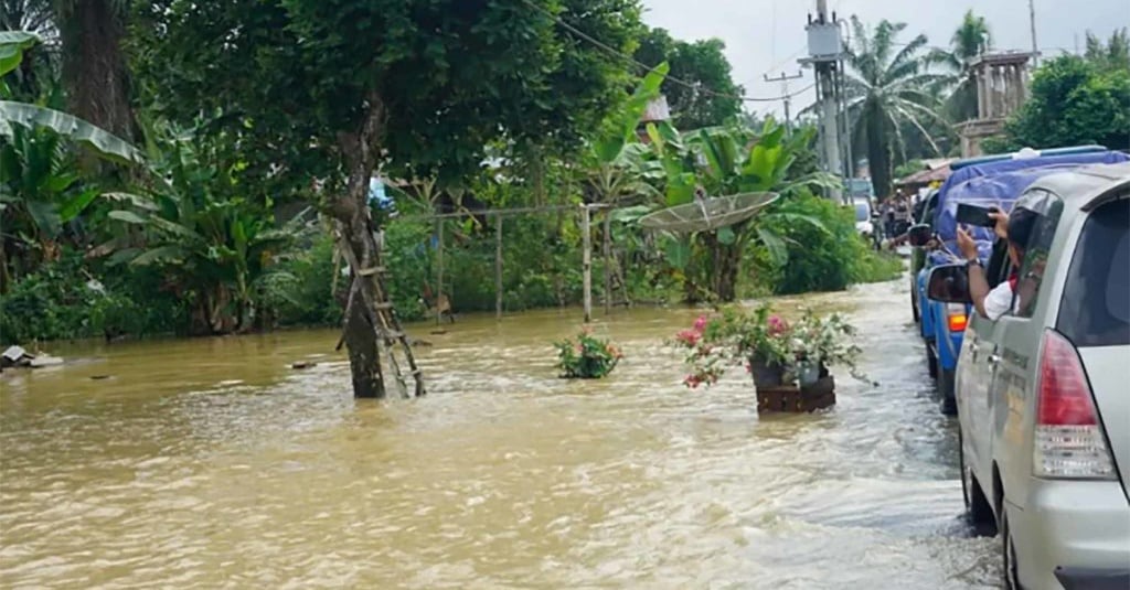 430 Ha Lahan Pertanian Rusak Terdampak Banjir di Pasaman Barat