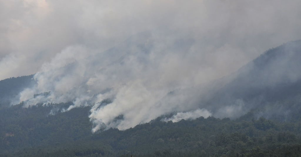 Kondisi Terkini Kebakaran Gunung Lawu & Status Tanggap Darurat