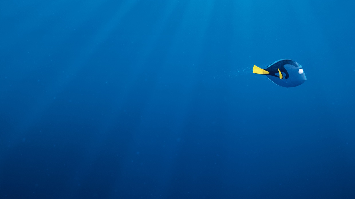 Jangan Mencari Dory Jangan Mencari Dory