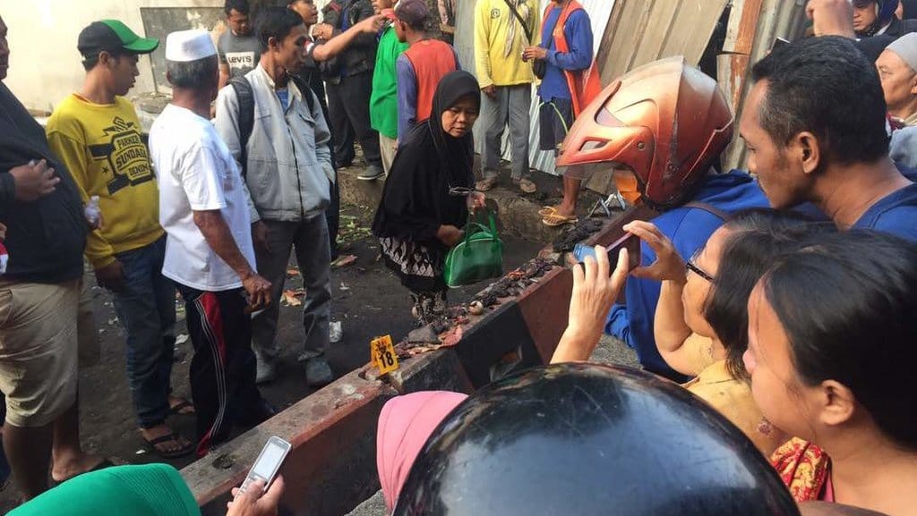 Respons Otak dan Tontonan Potongan Daging Manusia Respons Otak dan Tontonan Potongan Daging Manusia