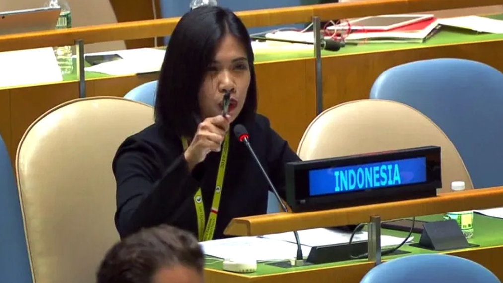 Para Diplomat Indonesia dan Pelanggaran HAM di Papua Para Diplomat Indonesia dan Pelanggaran HAM di Papua