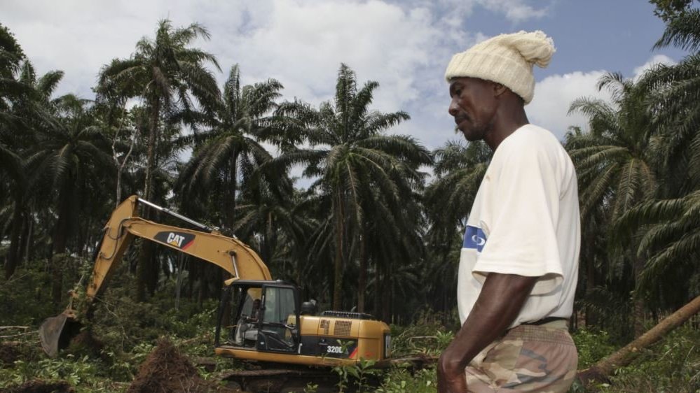 Afrika Perlu Belajar dari Efek Industri Sawit di Indonesia Afrika Perlu Belajar dari Efek Industri Sawit di Indonesia