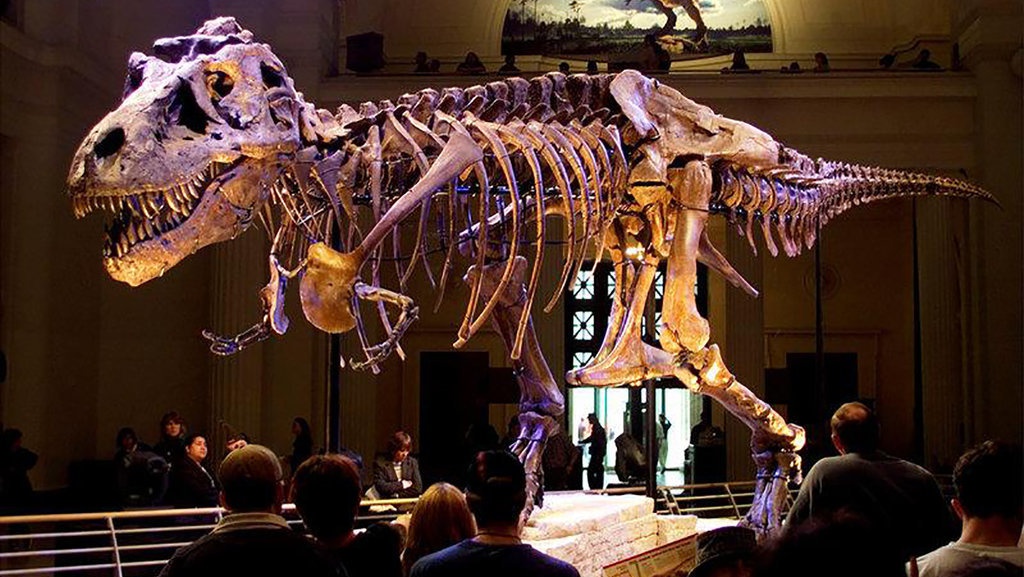 Pasang Iklan Fosil T.rex di eBay, Alan Dietrich Dikritik Ilmuwan Pasang Iklan Fosil T.rex di eBay, Alan Dietrich Dikritik Ilmuwan