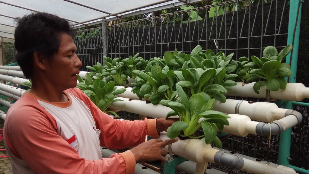 Dengan Hidroponik Berjuang Membenahi Desa Dengan Hidroponik Berjuang Membenahi Desa