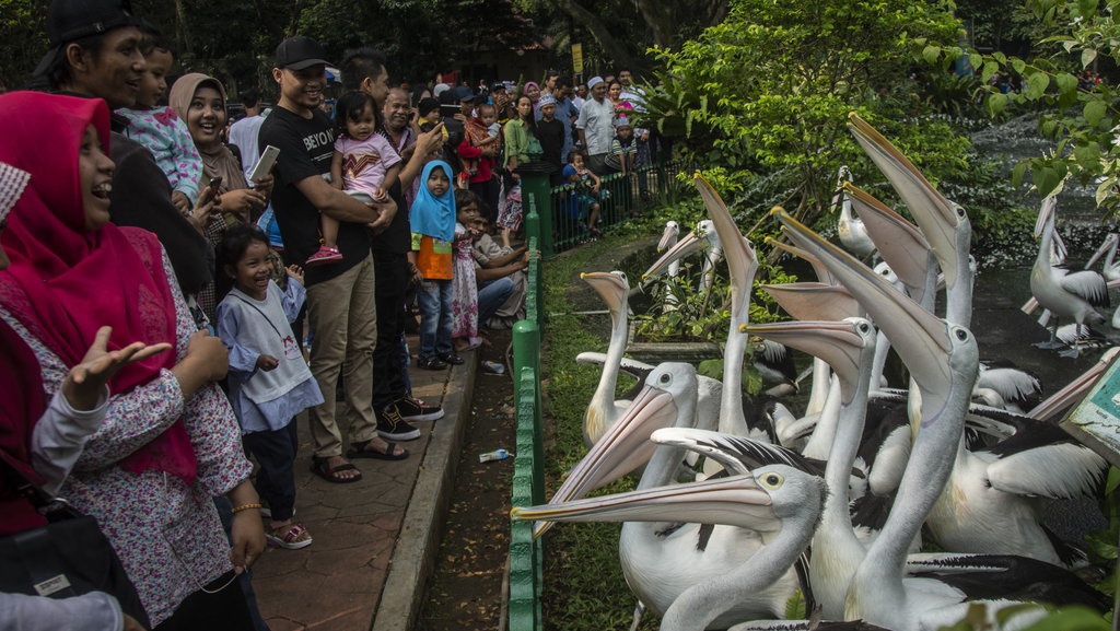 DPRD DKI Tolak Usul Anggaran Rp75 Miliar untuk Revitalisasi Ragunan DPRD DKI Tolak Usul Anggaran Rp75 Miliar untuk Revitalisasi Ragunan