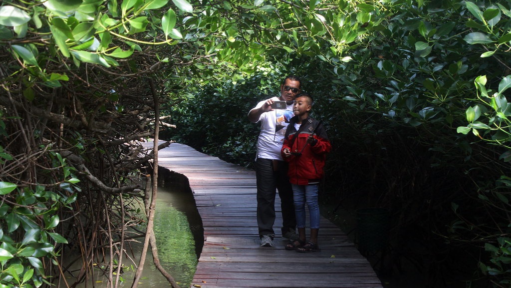 Manfaat Hutan Bakau (Mangrove) untuk Manusia & Kehidupan Manfaat Hutan Bakau (Mangrove) untuk Manusia & Kehidupan
