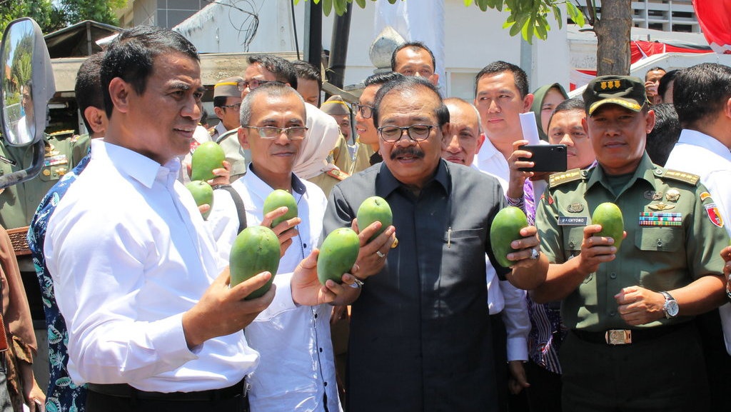 Pemerintah Kaji Kenakan Tarif Impor Hortikultura Saat Musim Panen Pemerintah Kaji Kenakan Tarif Impor Hortikultura Saat Musim Panen
