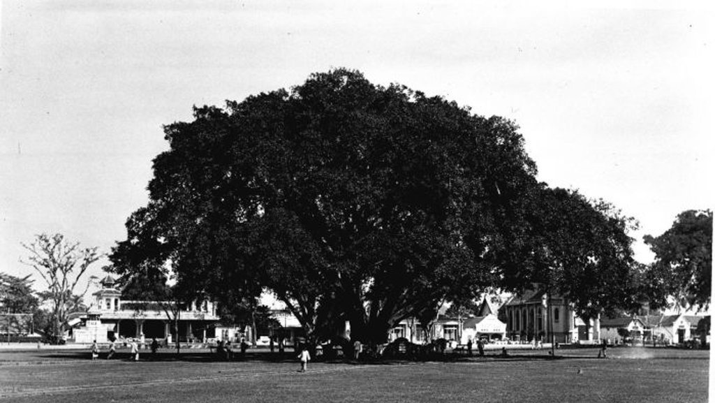 Alun-Alun Malang: Simbol Kegagalan Belanda Menaklukkan Rakyat Alun-Alun Malang: Simbol Kegagalan Belanda Menaklukkan Rakyat