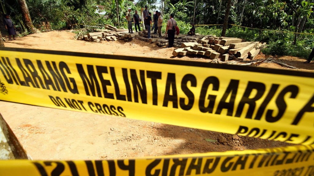 Kemenhut Tangkap Buron Pemodal Illegal Logging di Kalteng Kemenhut Tangkap Buron Pemodal Illegal Logging di Kalteng