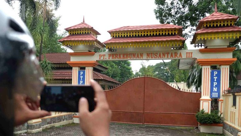 Profil PTPN III: Bidang Kerja, di Mana Saja, & BUMN Milik Siapa? Profil PTPN III: Bidang Kerja, di Mana Saja, & BUMN Milik Siapa?