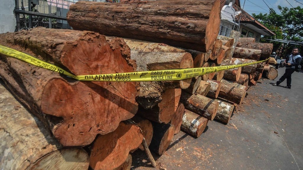 Kemenhut Tetapkan 6 Tersangka Pembalakan Liar di Riau Kemenhut Tetapkan 6 Tersangka Pembalakan Liar di Riau