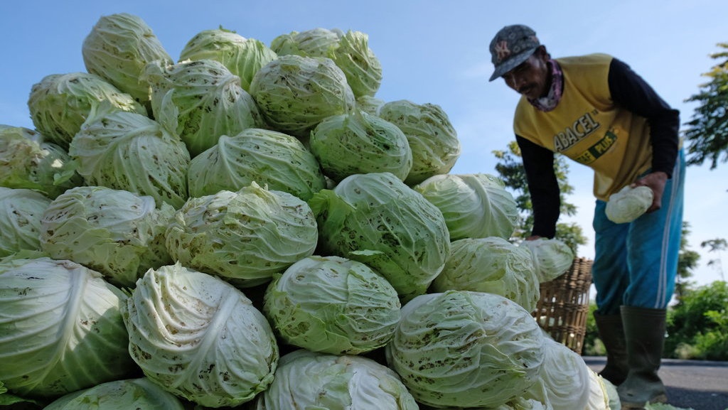 Cegah Krisis Corona, Petani Temanggung Diminta Banyak Tanam Pangan Cegah Krisis Corona, Petani Temanggung Diminta Banyak Tanam Pangan