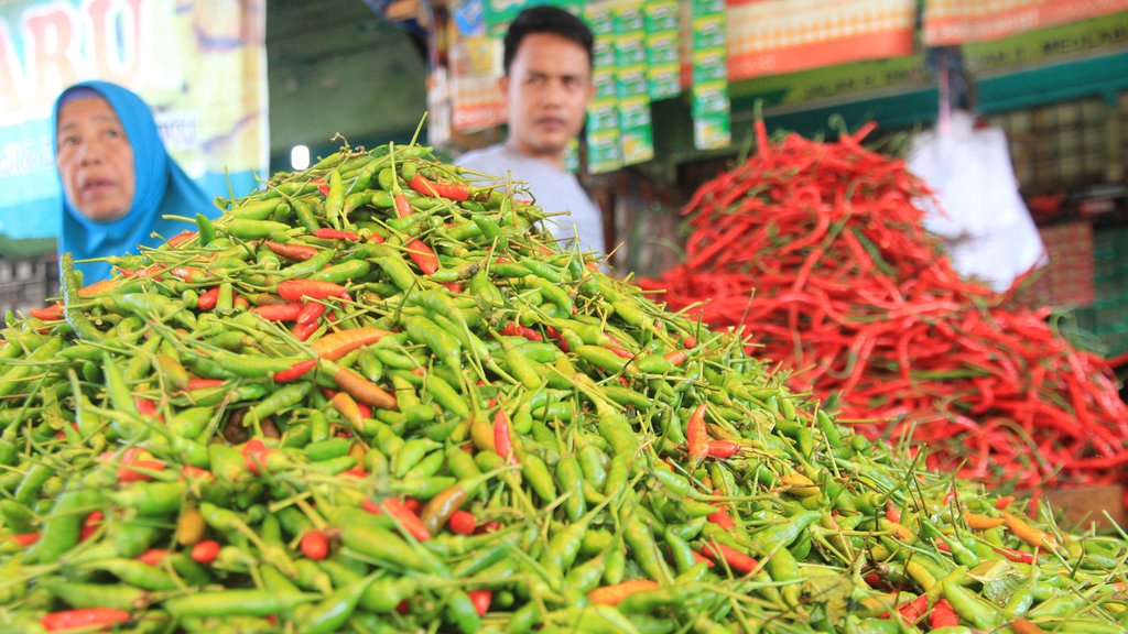 Update Harga Pangan 3 Oktober: Beras, Cabai hingga Gula Naik Update Harga Pangan 3 Oktober: Beras, Cabai hingga Gula Naik