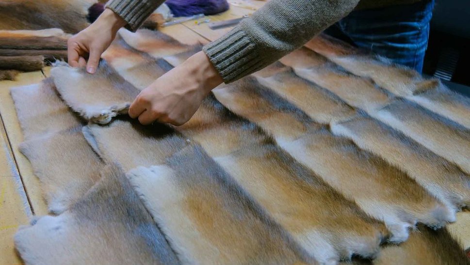 Mengenal Vegan Leather, Jenis serta Kelebihan & Kekurangannya Mengenal Vegan Leather, Jenis serta Kelebihan & Kekurangannya