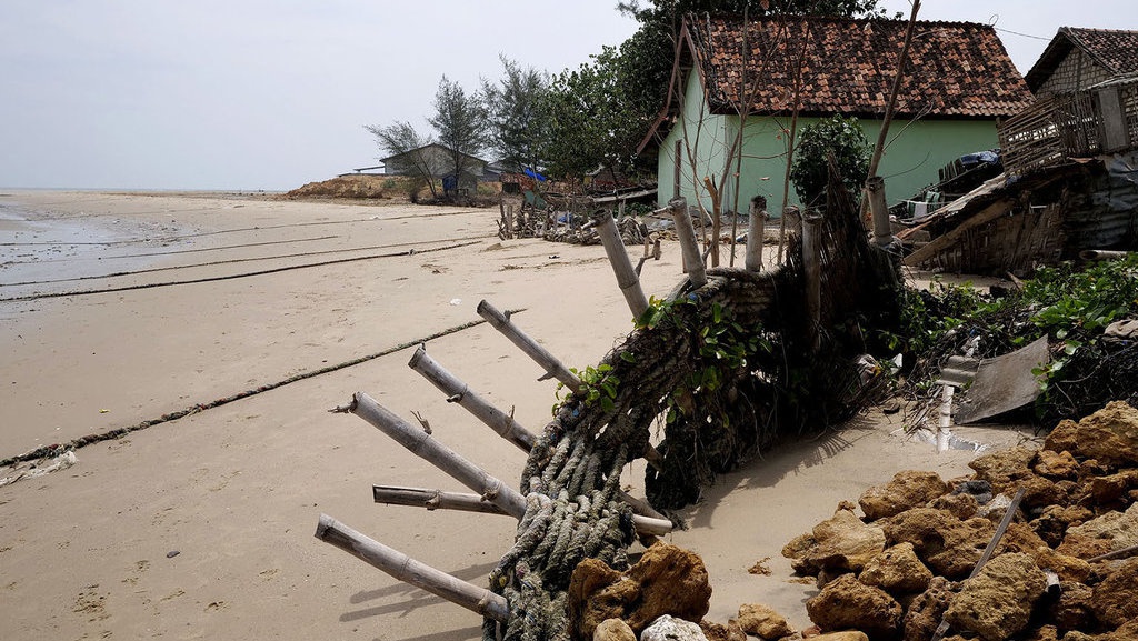 Bumi Wali Terancam Hilang Bumi Wali Terancam Hilang