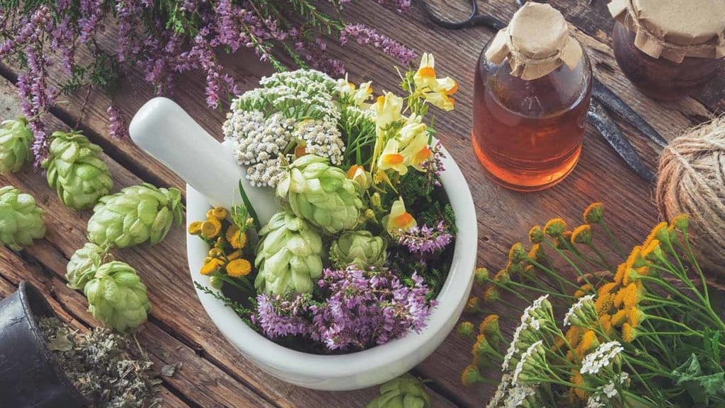 Apa Saja Tanaman Herbal yang Bantu Cegah Corona dengan Sistem Imun? Apa Saja Tanaman Herbal yang Bantu Cegah Corona dengan Sistem Imun?
