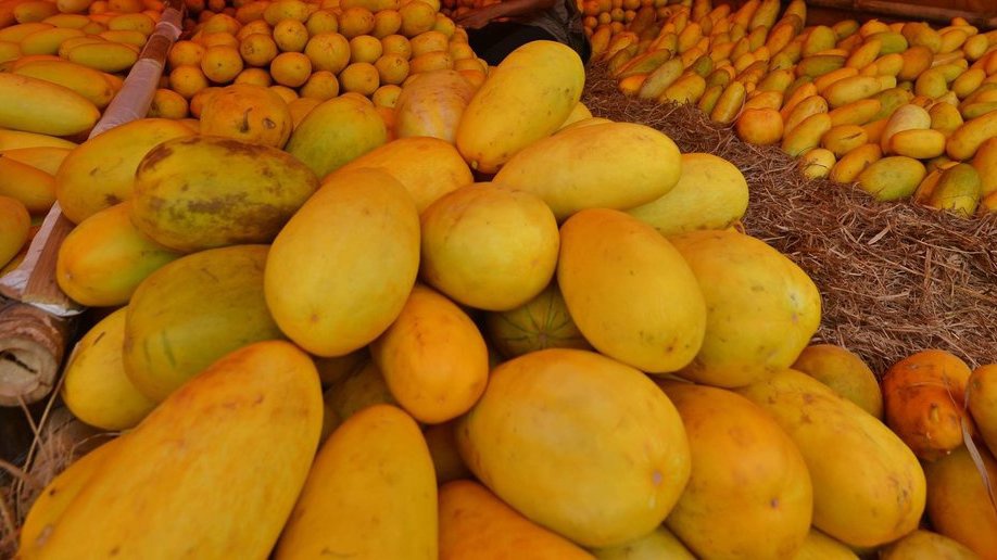 Ketahui Manfaat Buah Timun Suri & Apa Saja Kandungan Nutrisinya? Ketahui Manfaat Buah Timun Suri & Apa Saja Kandungan Nutrisinya?