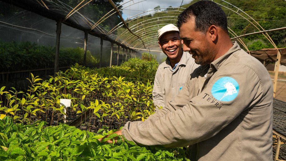 Zurich Jadi Sponsor Reboisasi Hutan Atlantik di Brasil