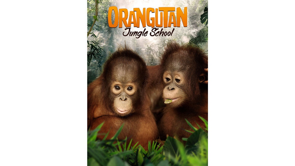 Sinopsis Orangutan Jungle School di Mola TV: Hiburan untuk Anak Sinopsis Orangutan Jungle School di Mola TV: Hiburan untuk Anak