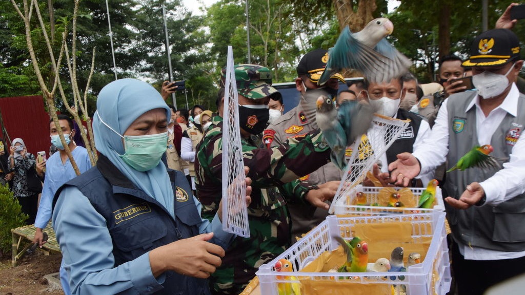 8.188 Pekerja Migran Tiba di Jatim, 76 di Antaranya Positif Corona 8.188 Pekerja Migran Tiba di Jatim, 76 di Antaranya Positif Corona