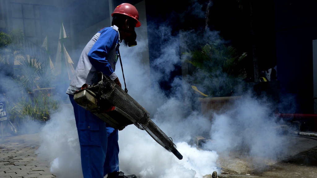 Hari DBD ASEAN 15 Juni 2021: Sejarah, Gejala & Cara Cegah Dengue Hari DBD ASEAN 15 Juni 2021: Sejarah, Gejala & Cara Cegah Dengue