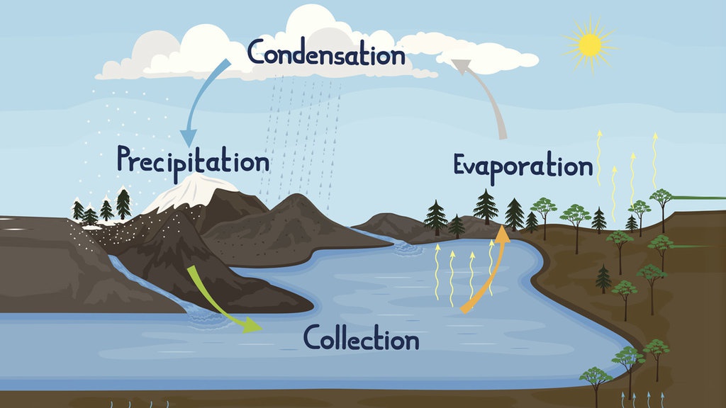 Contoh Soal Siklus Air, Materi Daur Air Biogeokimia & Penjelasan Contoh Soal Siklus Air, Materi Daur Air Biogeokimia & Penjelasan