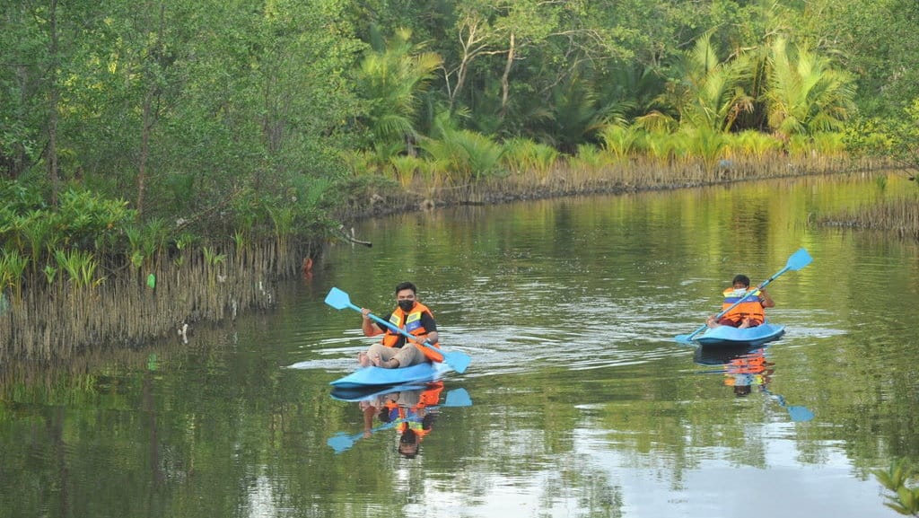 Persebaran Biota Laut di Perairan Indonesia: Perikanan dan Mangrove Persebaran Biota Laut di Perairan Indonesia: Perikanan dan Mangrove