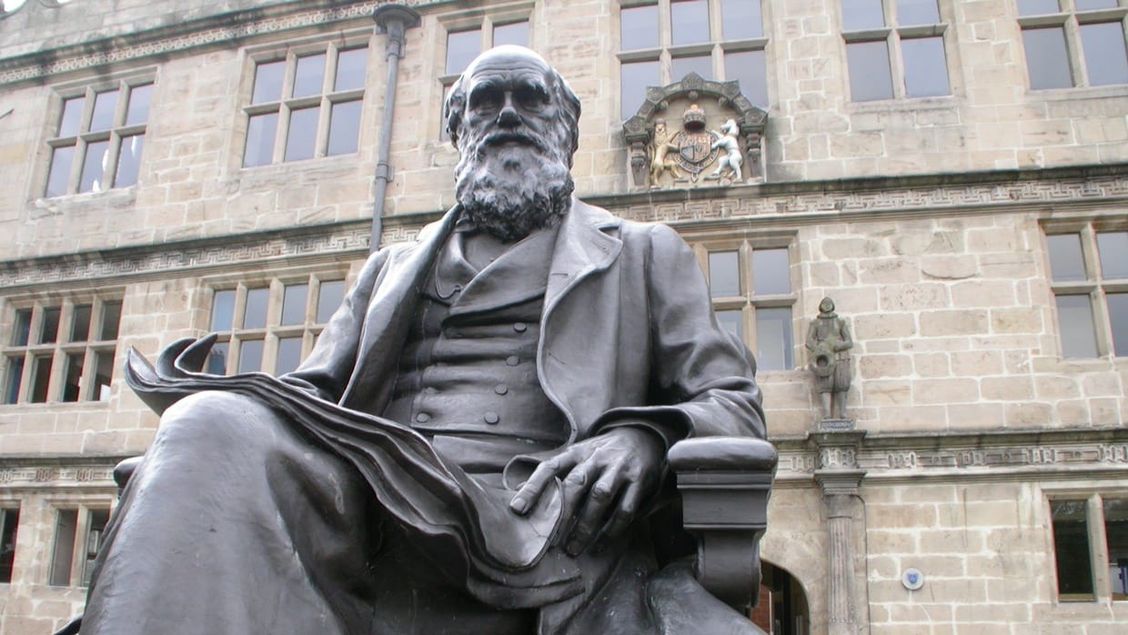 Perbedaan Teori Evolusi Darwin, Lamarck, dan Weismann Perbedaan Teori Evolusi Darwin, Lamarck, dan Weismann