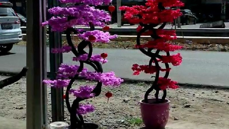 Jelang Imlek, Perajin Bunga Sakura atau Mei Hwa Banjir Pesanan Jelang Imlek, Perajin Bunga Sakura atau Mei Hwa Banjir Pesanan