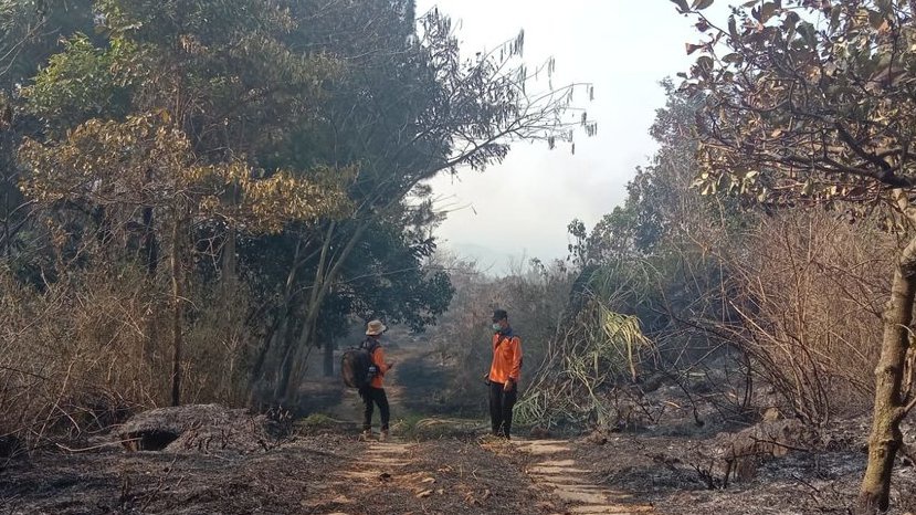 Kebakaran Melanda 95 Hektare Hutan dan Lahan di Gunung Ciremai Kebakaran Melanda 95 Hektare Hutan dan Lahan di Gunung Ciremai