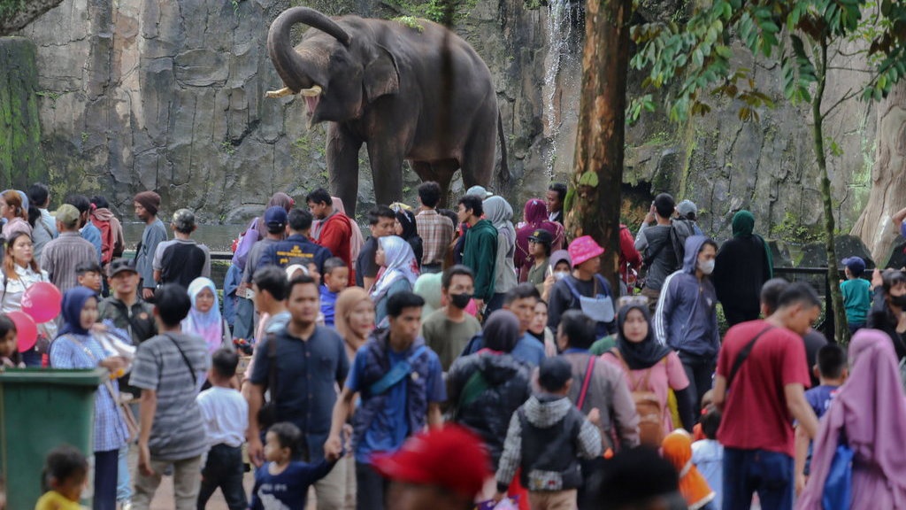 66.394 Pengunjung Padati Ragunan pada Libur Tahun Baru 2023 66.394 Pengunjung Padati Ragunan pada Libur Tahun Baru 2023