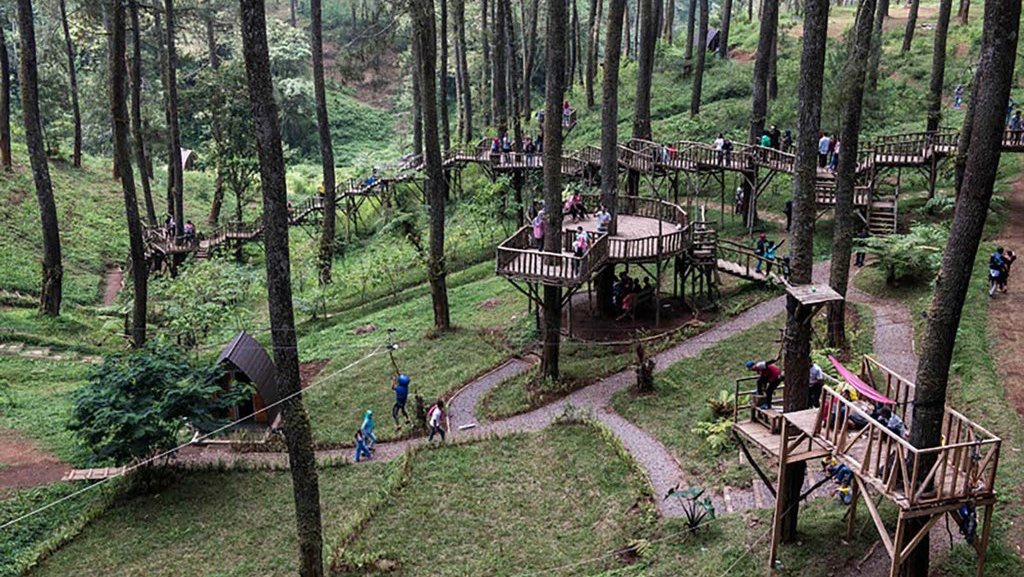 Orchid Forest Cikole: Lokasi & Harga Tiket Saat Liburan Imlek Orchid Forest Cikole: Lokasi & Harga Tiket Saat Liburan Imlek