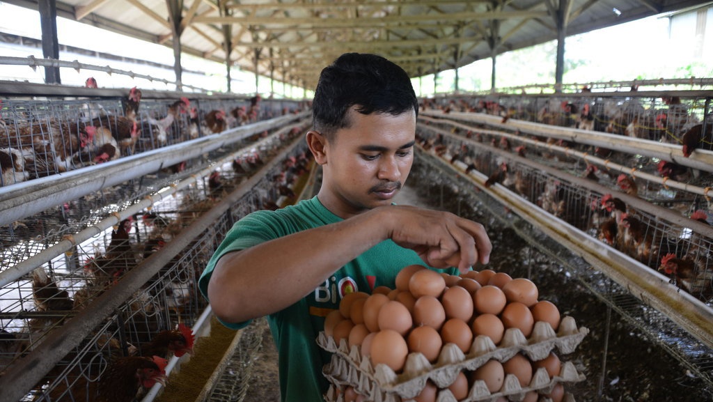 Update Harga Pangan 19 Juni 2023: Telur Ayam - Daging Sapi Turun Update Harga Pangan 19 Juni 2023: Telur Ayam - Daging Sapi Turun