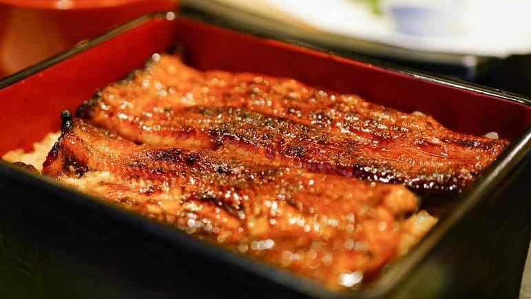 Apa Itu Unagi Cilacap Viral yang Katanya Diekspor ke Jepang? Apa Itu Unagi Cilacap Viral yang Katanya Diekspor ke Jepang?