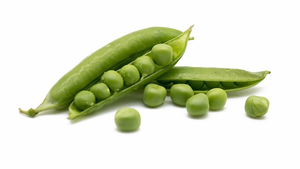 7 Manfaat Kacang Kapri untuk Kesehatan dan Kandungan Nutrisinya 7 Manfaat Kacang Kapri untuk Kesehatan dan Kandungan Nutrisinya