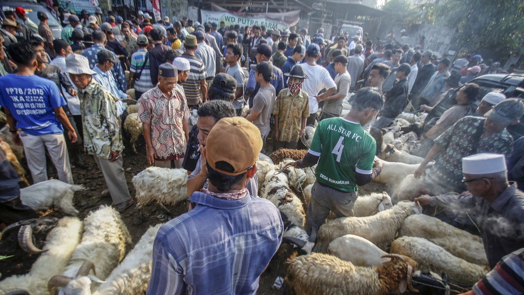 Harga Kurban Kambing dan Sapi 2025 di Jawa Barat Harga Kurban Kambing dan Sapi 2025 di Jawa Barat