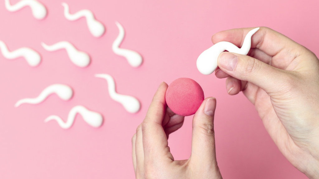 Mengenal Apa Itu Inseminasi Buatan, Tujuan dan Prosedurnya Mengenal Apa Itu Inseminasi Buatan, Tujuan dan Prosedurnya