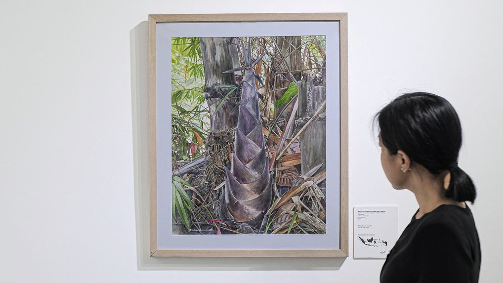 Flora Indonesia dalam Lukisan yang Bertolak dari Tradisi Ilmiah Flora Indonesia dalam Lukisan yang Bertolak dari Tradisi Ilmiah