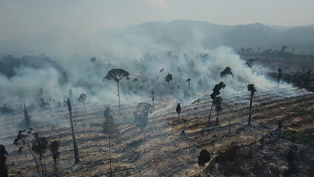 Tim Satgas Karhutla Berhasil Padamkan Kebakaran Lahan di Jambi Tim Satgas Karhutla Berhasil Padamkan Kebakaran Lahan di Jambi