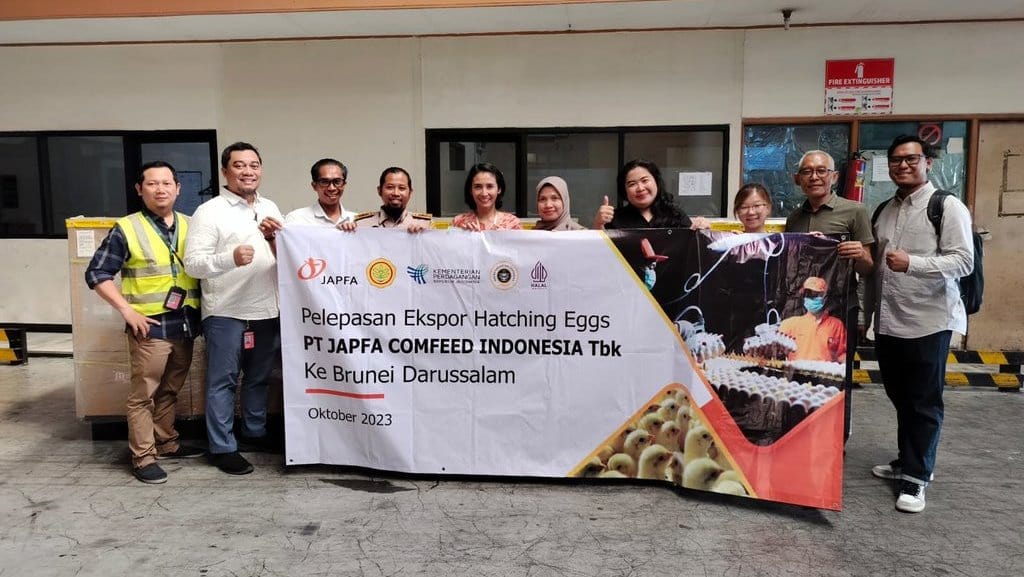 JAPFA Ekspor Hatching Egg Perdana ke Brunei JAPFA Ekspor Hatching Egg Perdana ke Brunei